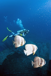 Similar image 10892924