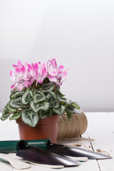 Similar image 10893587