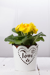 Similar image 10893589