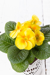 Similar image 10893591