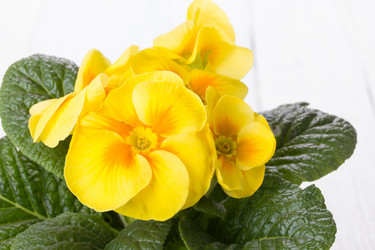 Similar image 10893593