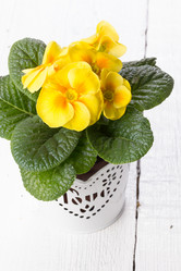 Similar image 10893594