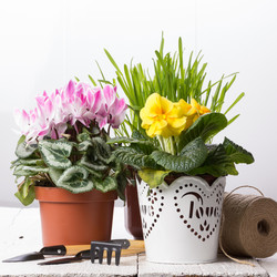 Similar image 10893595