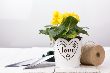 Similar image 10893596