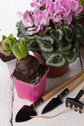 Similar image 10893598