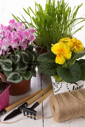 Similar image 10893599