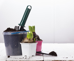 Similar image 10893600