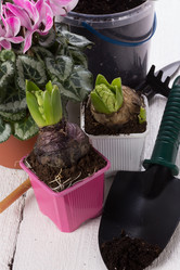 Similar image 10893601