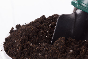 Similar image 10893605