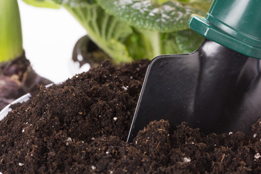 Similar image 10893606