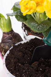 Similar image 10893607