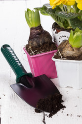 Similar image 10893640