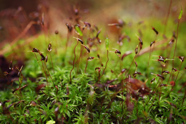 Similar image 10893266