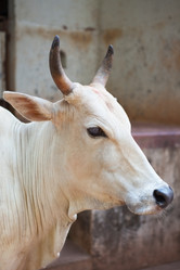 Similar image 10893275