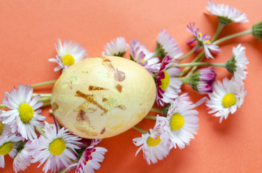 Similar image 10893176