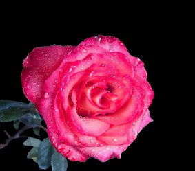 Similar image 10895353