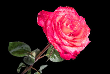 Similar image 10895354