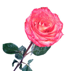 Similar image 10895355