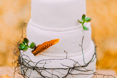 Similar image 10893083