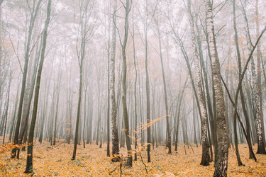 Similar image 10893085