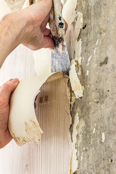 Similar image 10899182