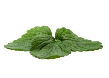 Similar image 10894166