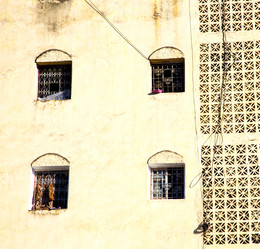 Similar image 10894283