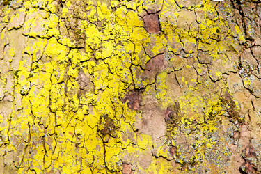 Similar image 10894285