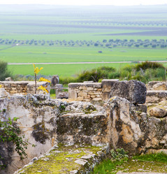 Similar image 10894364