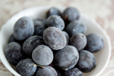 Similar image 10895902