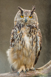 Similar image 10895640