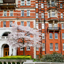 Similar image 10895378