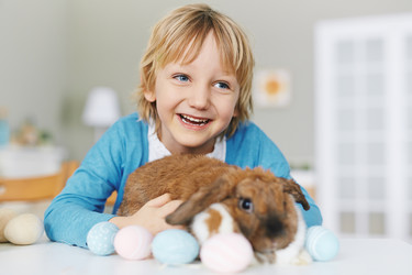 Similar image 10895303