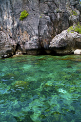 Similar image 10895282