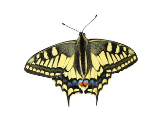 Similar image 10895343