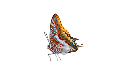 Similar image 10895344