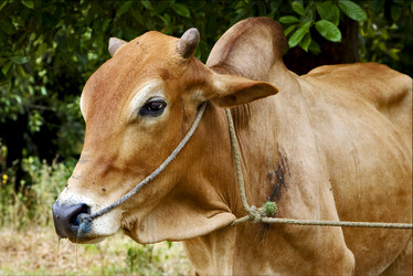 Similar image 10895955