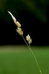 Similar image 10904571