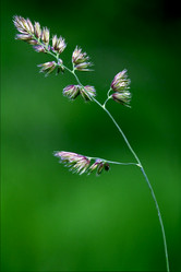 Similar image 10904576