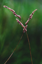 Similar image 10905242