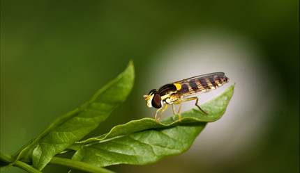 Similar image 10905243