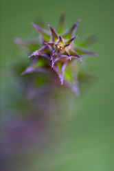 Similar image 10905279