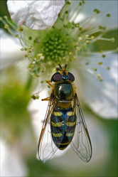 Similar image 10895957