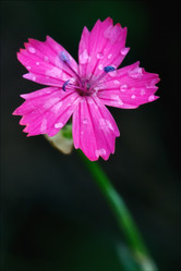 Similar image 10895960