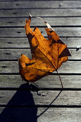 Similar image 10895974