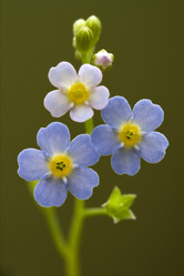 Similar image 10895975