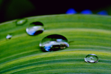 Similar image 10895983