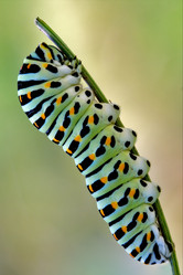 Similar image 10895985