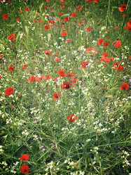 Similar image 10900625