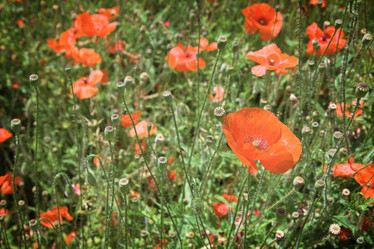 Similar image 10900626